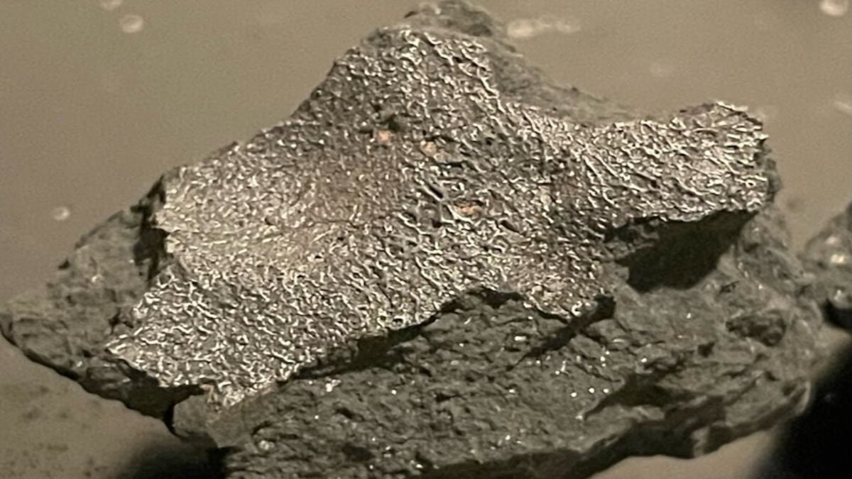 Meteorito en Nueva Jersey ofrece pistas sobre el origen de la vida